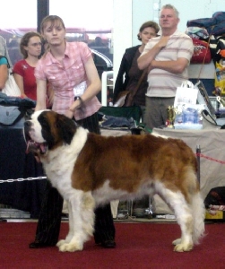 CH. Fábio od Natálky