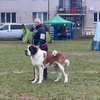JCh. Kaya Eliščino království