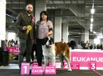 Connor Fortis Silesia