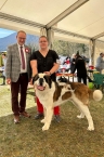 Ch. Brody Fortis Silesia