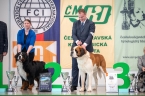 C.I.B. Viktor od Strážců hor