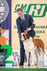 C.I.B. Viktor od Strážců hor
