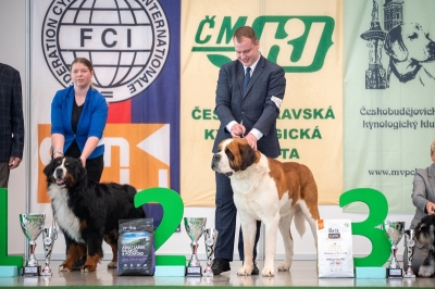 C.I.B. Viktor od Strážc hor - RESERVE BEST IN GROUP