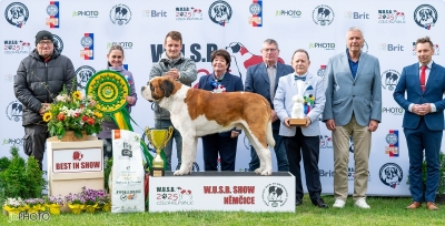 C.I.B. Viktor od Strážců hor - BEST IN SHOW