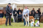 Aragon vom Erxlebener - V 1, CAJC, JUNIOR WUSB, WINNER