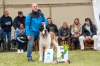 W´Mariko de la Vega de Carmona - V 1, CAC, WUSB Winner, BOS