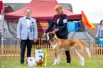 Kennedy od Strážců hor - N 2