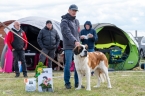 Muffin du Grand St. Bernard - V 2, res.CAC
