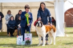 Georgina vom Celler Schloss - V 1, CAC, WUSB WINNER, BOB