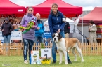 Scully du Grand St. Bernard - V 1, CAJC, WUSB JUNIOR WINNER, BOJ, BIS JUNIOR