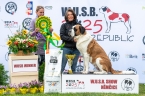 Kessi Au Moulin de Tallans - V 1, CAC, WUSB WINNER, BOS