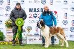 W´Mariko de la Vega de Carmona - V 1, CAC, WUSB WINNER, BOS