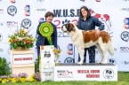 Georgina vom Celler Schloss - V 1, CAC, WUSB WINNER, BOB