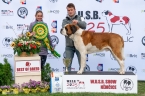 C.I.B. Viktor od Strážců hor - V 1, CAC, WUSB WINNER, BOB, BIS
