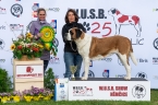 Kessi Au Moulin de Tallans - V 1, CAC, WUSB WINNER, BOS
