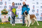 W´Mariko de la Vega de Carmona - V 1, CAC, WUSB WINNER, BOS