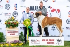 Danger od Strážců hor - V 1, WUSB VETERAN WINNER