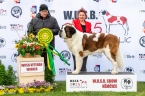 Fridolín ze Statku od Dobré vody - V 1, WUSB VETERAN WINNER
