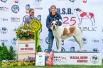 Rangoon du Grand St. Bernard - V 1, WUSB VETERAN WINNER, BOV, BIS VETERAN