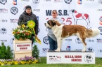 Aragon vom Erxlebener Hausmannturm - V 1, CAJC, WUSB JUNIOR WINNER