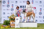 Edurne Pastor de Orellana - V 1, CAC, Klubový vítěz, BOS