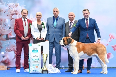 C.I.B. Viktor od Strážců hor - BOB, BIG, BOD, res.BIS