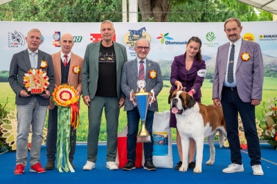 C.I.B. Viktor od Strážců hor - BEST IN SHOW