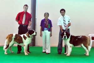 Diggy od Strážců hor CAC, CACIB, BOB - Bernegården’s Philadelphia CAC, CACIB