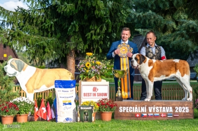 C.I.B. WW. EW. Suriyan Saphire Rios Saints - BEST IN SHOW