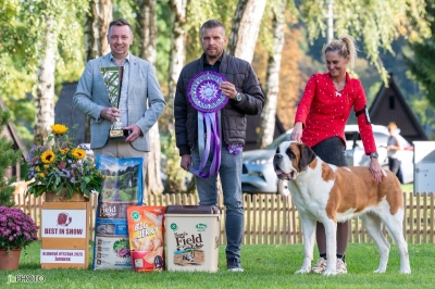 C.I.B. WW. EW. Suriyan Saphire Rios Saints - BEST IN SHOW