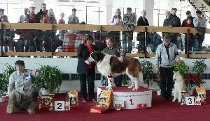 Ch. Artur z Mnichovského polesí - 1. místo Nejlepší veterán dne