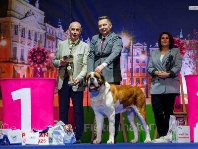 C.I.B. Viktor od Strážců hor - BEST IN GROUP