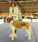 JCh. Lora od Strážců hor