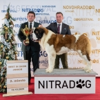 JCh. Napoleon od Strážců hor