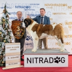 JCh. Napoleon od Strážců hor