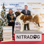 JCh. Napoleon od Strážců hor