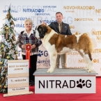 JCh. Napoleon od Strážců hor