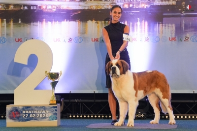 JCh. Olesea Eliščino království - RESERVE JUNIOR BEST IN GROUP