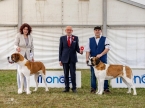 Ch. Lora od Strážců hor a Ch. Helen od Strážců hor