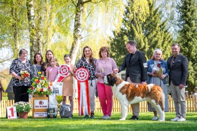 JCh. Napoleon od Strážců hor - BEST IN SHOW