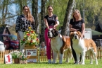 1. místo Nejlepší pár - Guardian Angel Eliščino království, Olesea Eliščino království