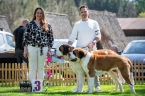 3. místo Nejlepší pár - Ozzy Eliščino království, Odyssea Eliščino království