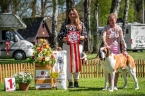 Suriyan Saphire Rios Saints - V 1, CAC, Klubový vítěz, BOS