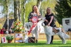 Queen Eliščino království - V 1, CAJC, Klubový vítěz mladých, BOS