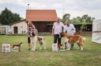 JCh. Queen Eliščino království
