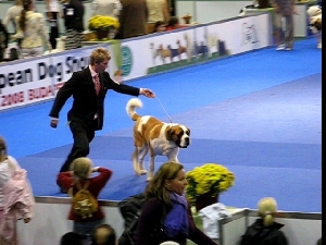 Dallas od Strážců hor