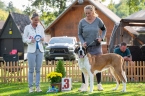 Orka od Hodousické louky - VD 3