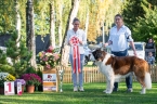 Garp od Klášterních lesů - V 1, BOV, BIS veterán
