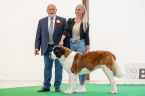 Isolda od Žulových skal