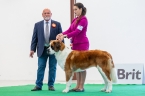 Ch. Gora od Žulových skal